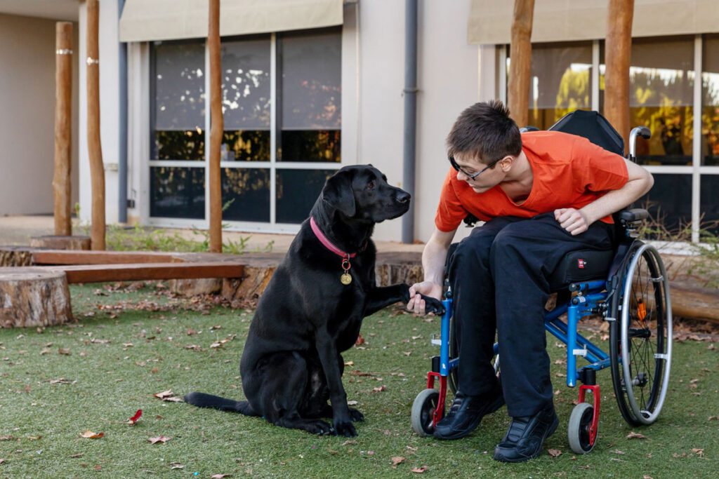 Blake sitting in his wheelchair, shaking with Therapy Dog Bazza's paw, who is sitting beside him