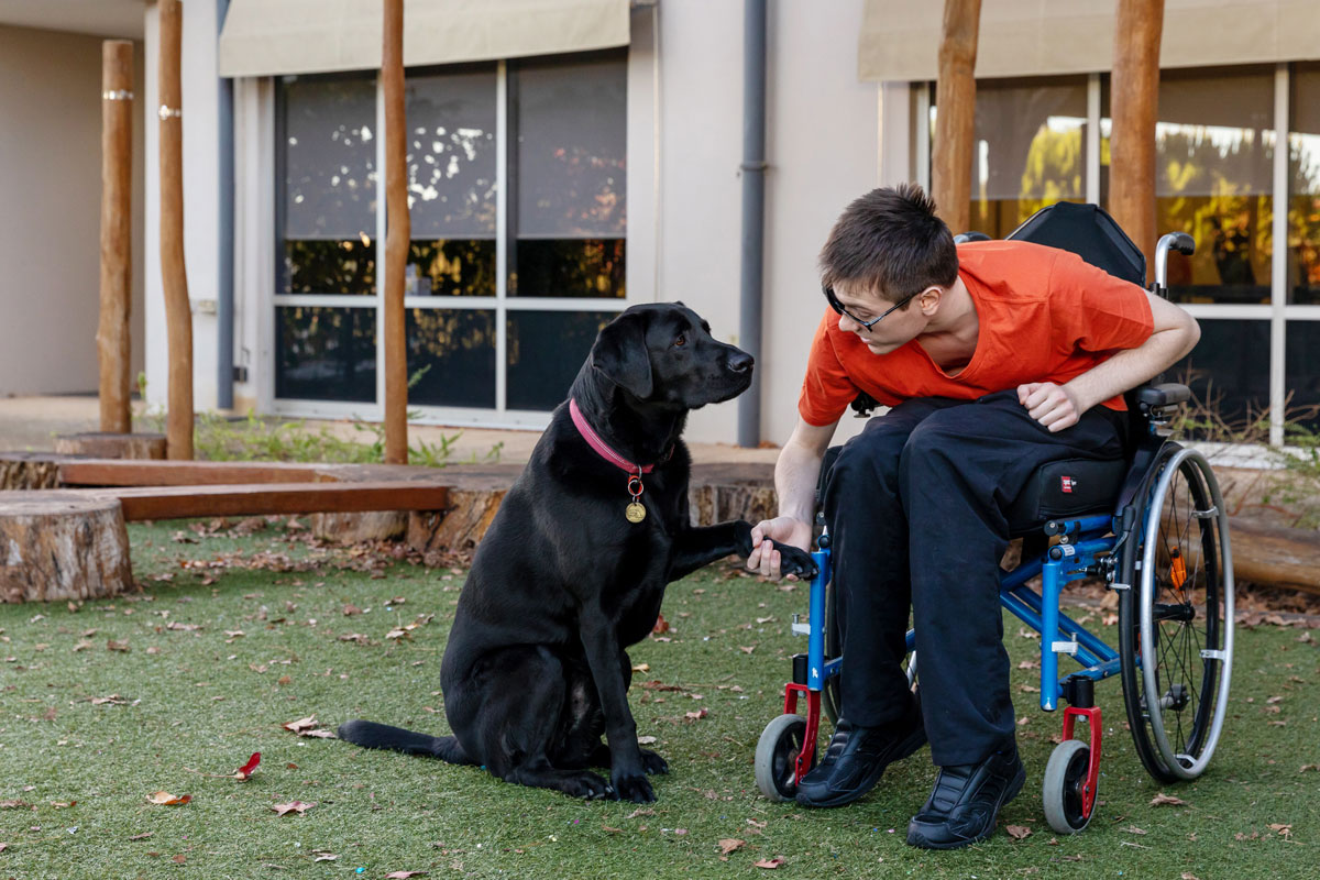 Dog therapy helps teenager with brain injury Kites Children's Therapy