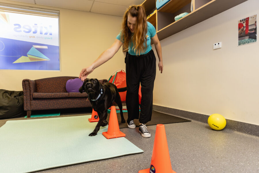 Victoria guides Onyx through an obstacle course